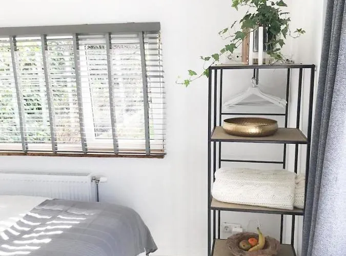 Little House 잔드보르트