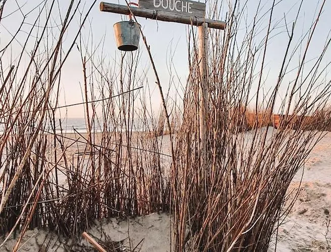 Apartman Little House Zandvoort